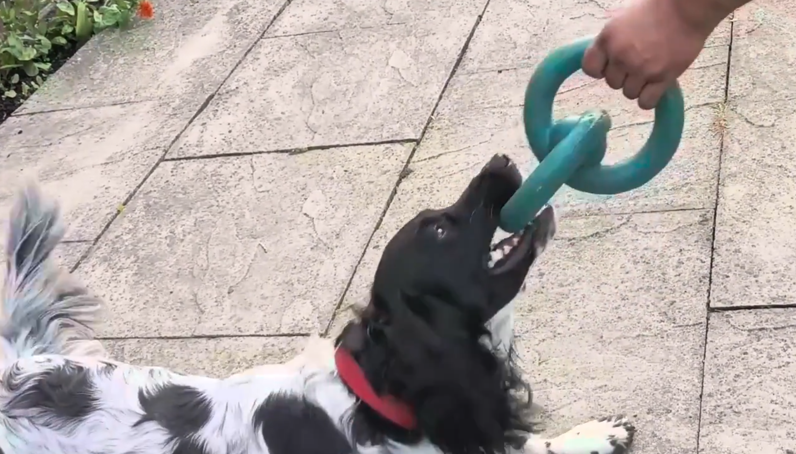 More TugRun video